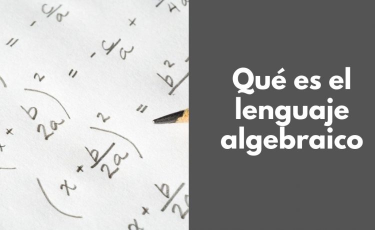 Qué es el lenguaje algebraico