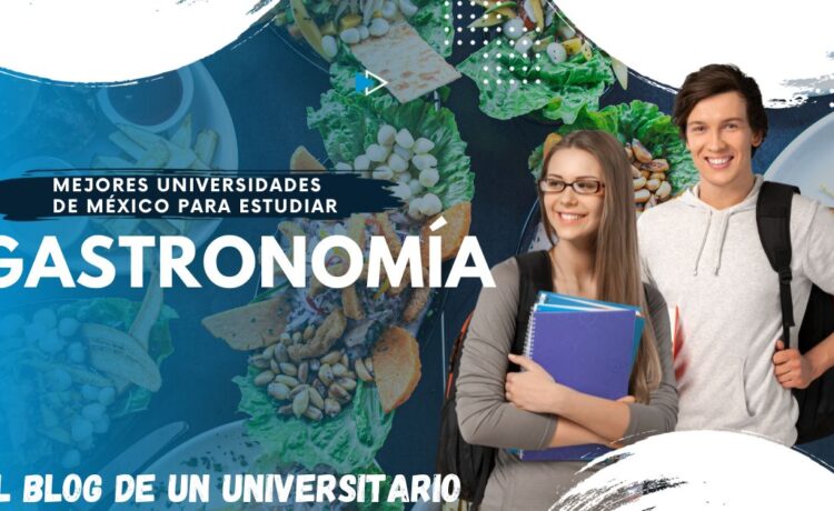 las 5 mejores universidades de México para estudiar gastronomía