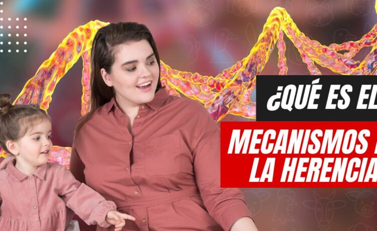 Qué son los mecanismos de la herencia